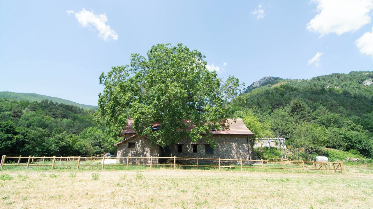 Photo of Others in Hecho