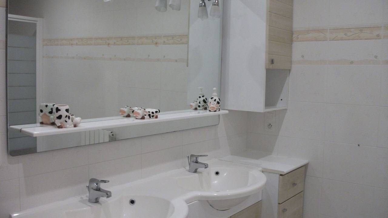 Photo of Bathroom in Souraide