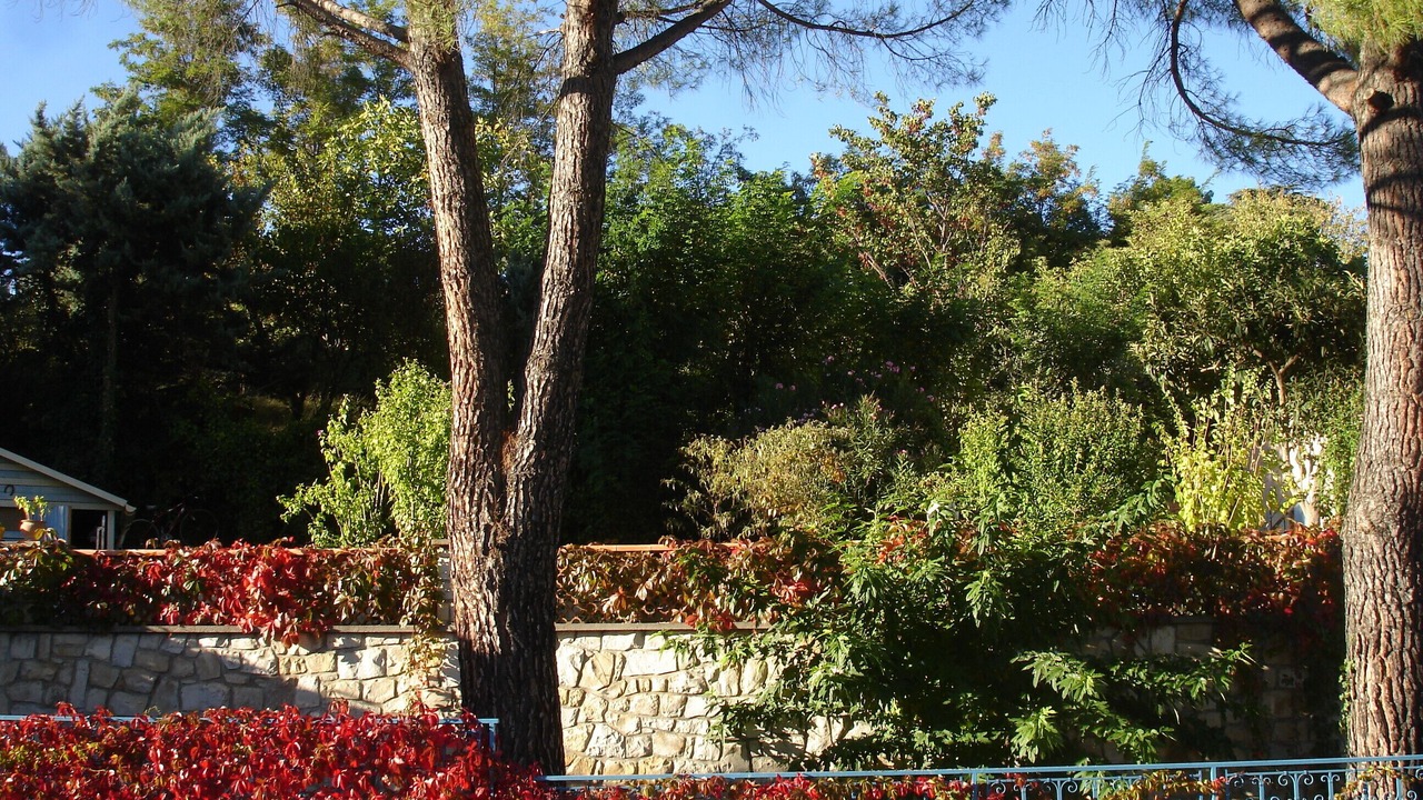 Photo of Outdoor in Manosque