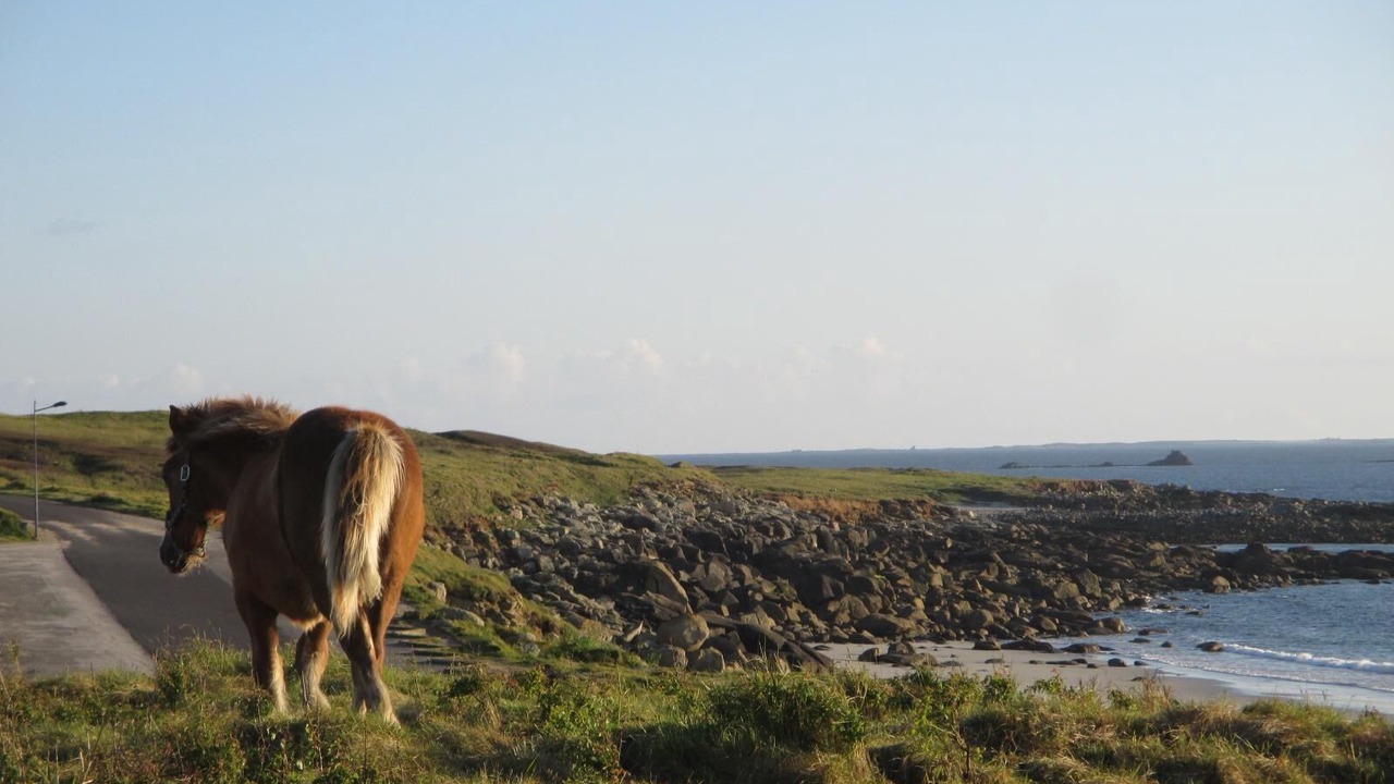 Photo of Others in Lampaul-Plouarzel