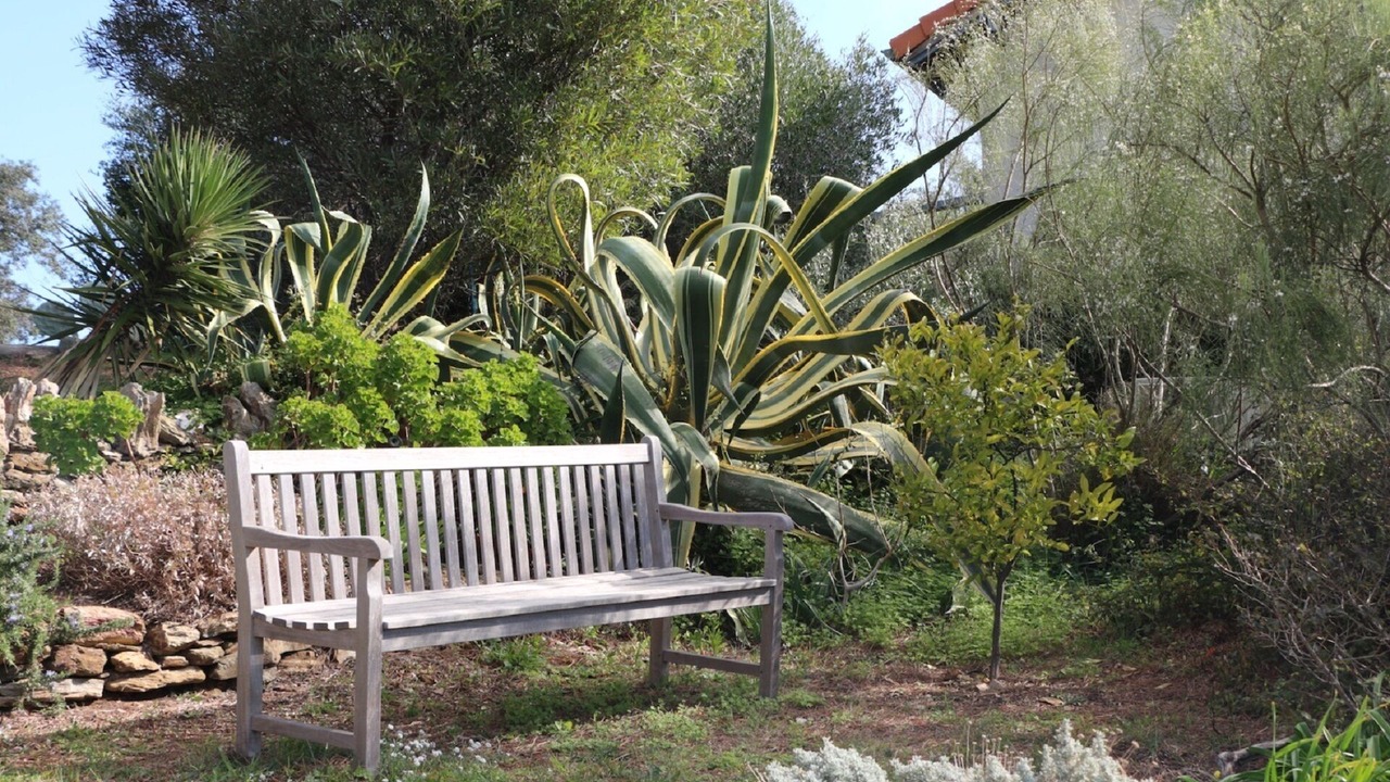 Photo of Outdoor in Giens