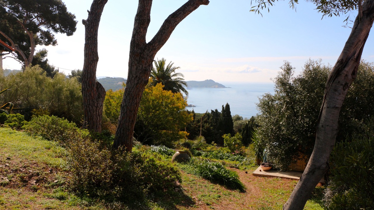 Photo of Outdoor in Giens