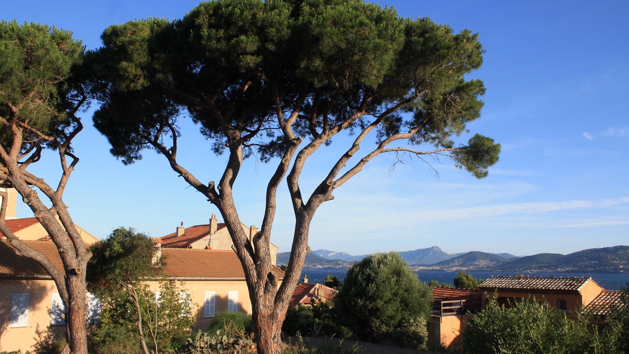 Photo of Outdoor in Giens