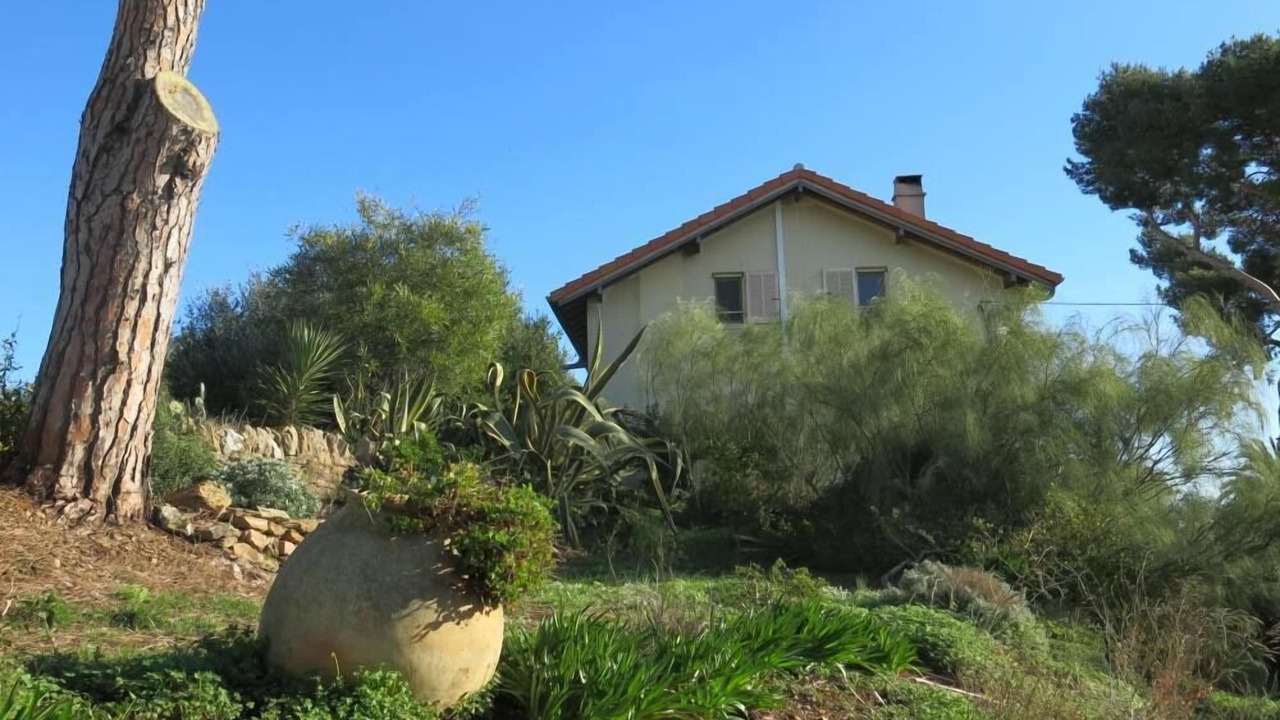 Photo of Outdoor in Giens
