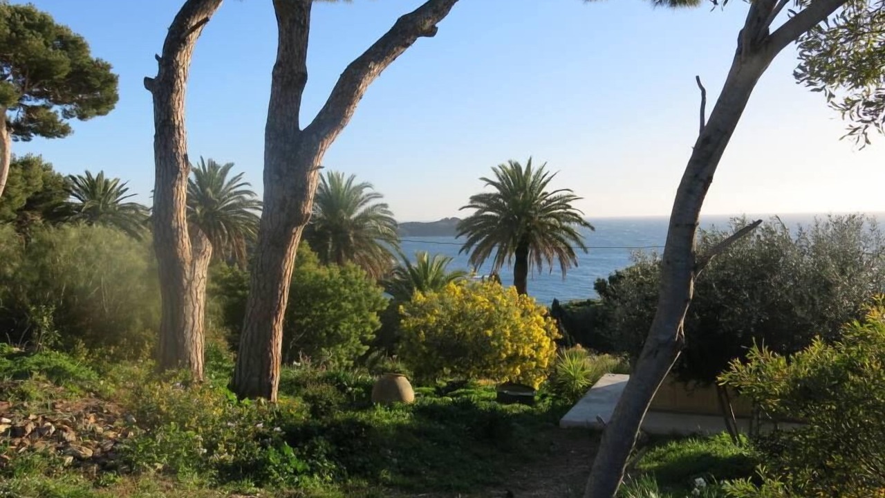 Photo of Outdoor in Giens