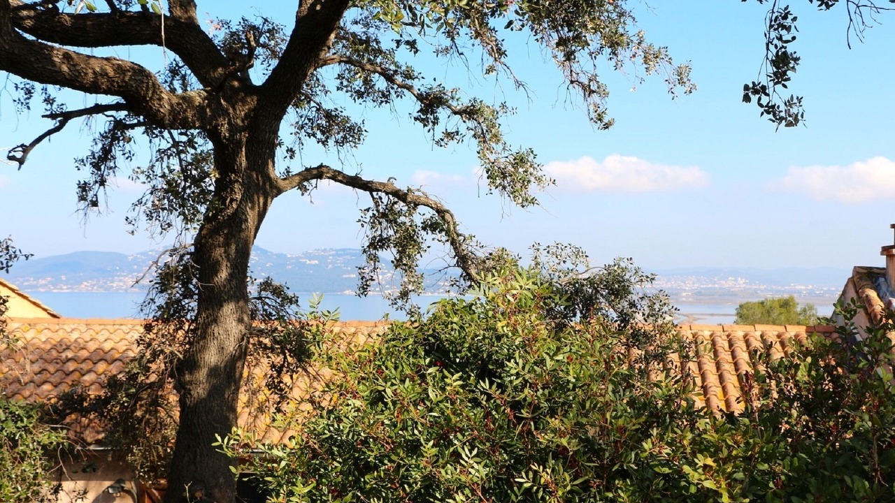 Photo of Others in Giens
