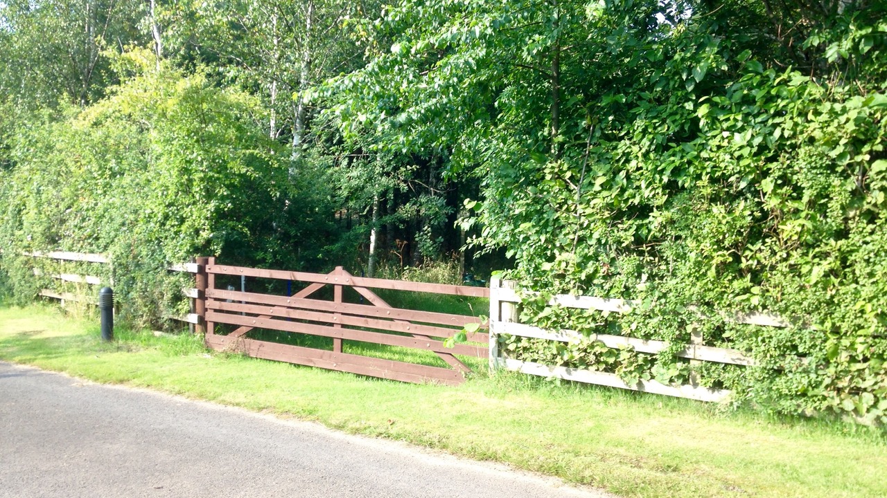 Photo of Others in Kinross