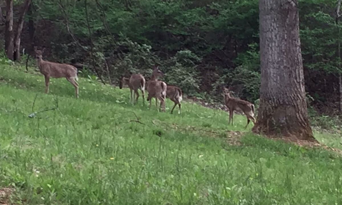 Photo of Others in La Follette