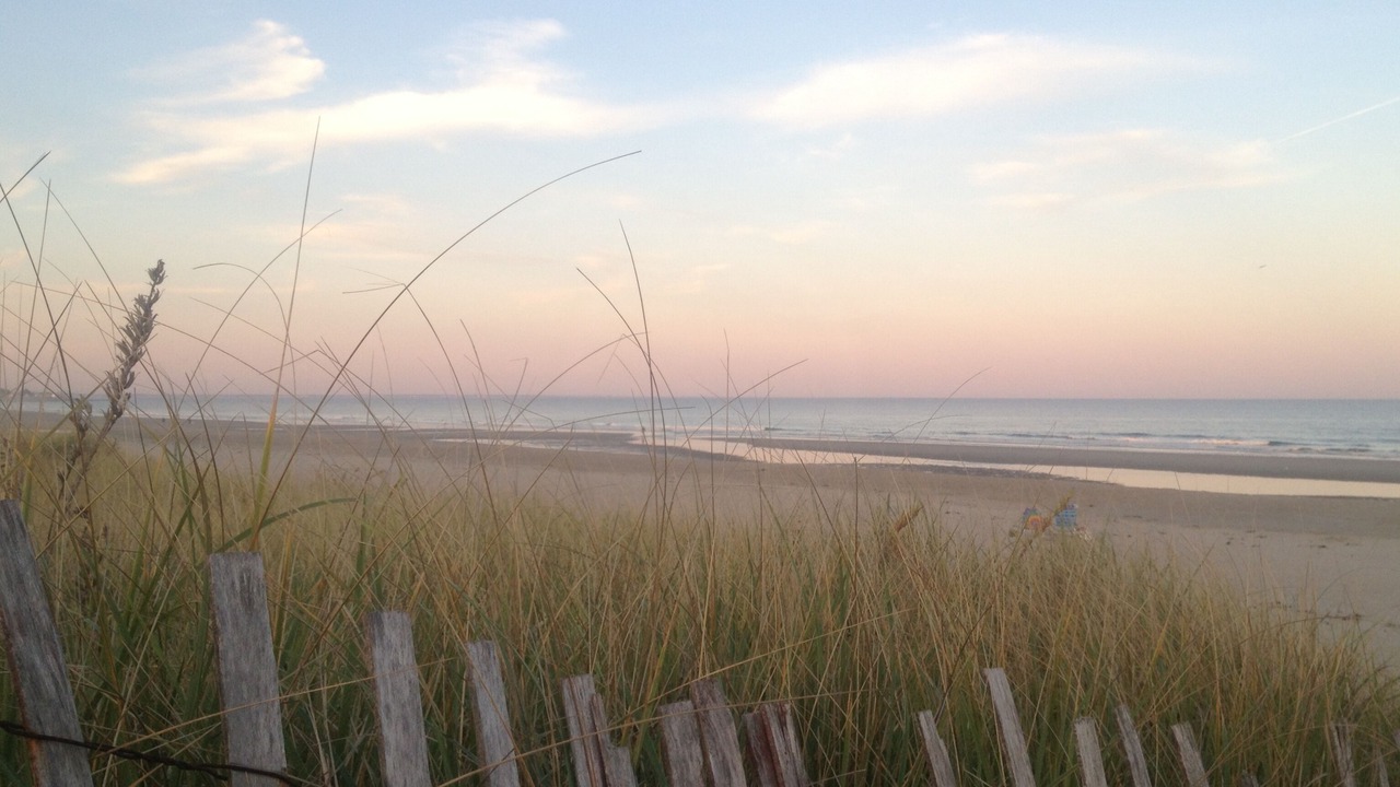 Photo of Others in Ogunquit