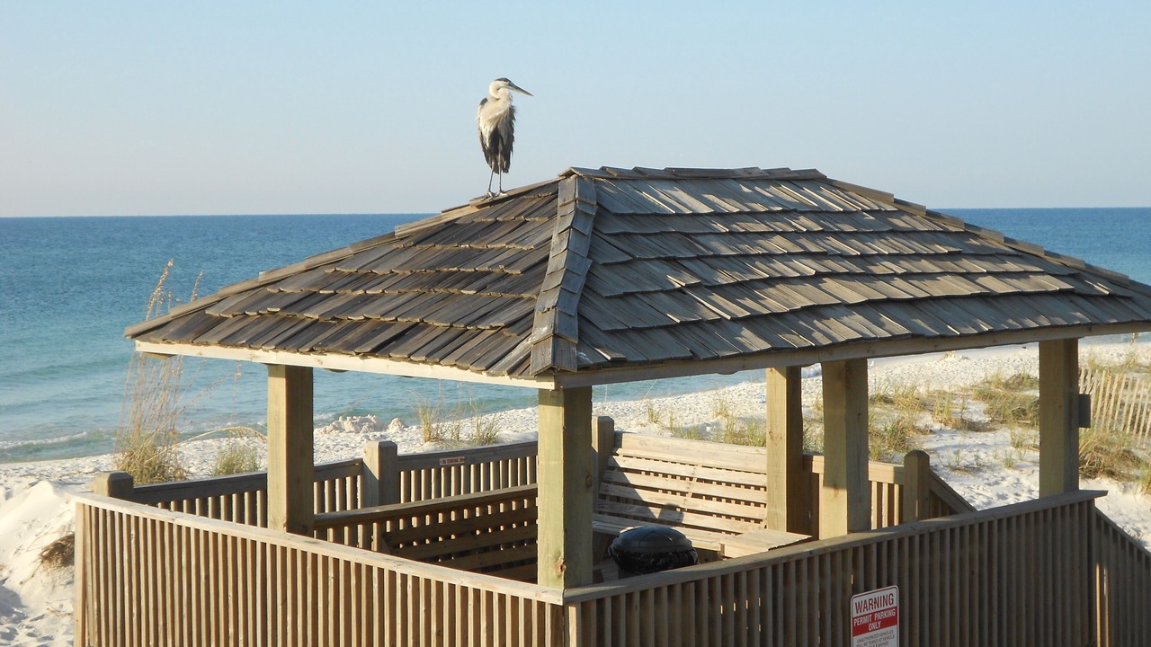 Photo of Others in Gulf Shores