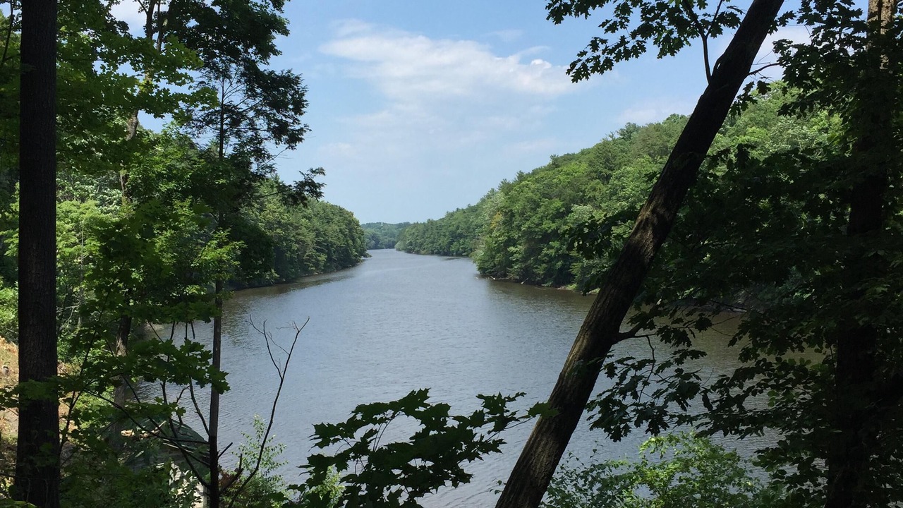 Photo of Others in Mount Marion