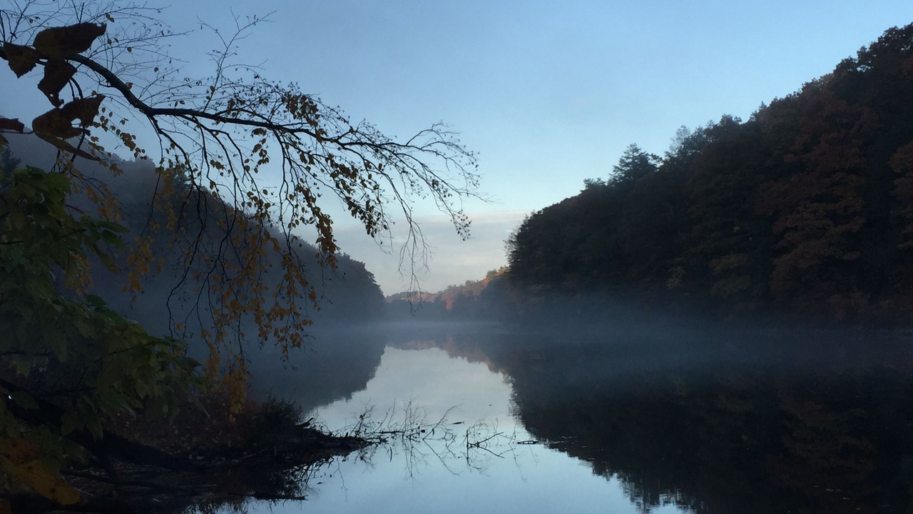 Photo of Others in Mount Marion
