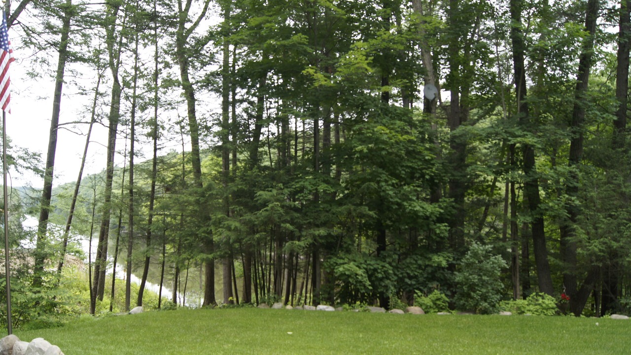 Photo of Outdoor in Mount Marion