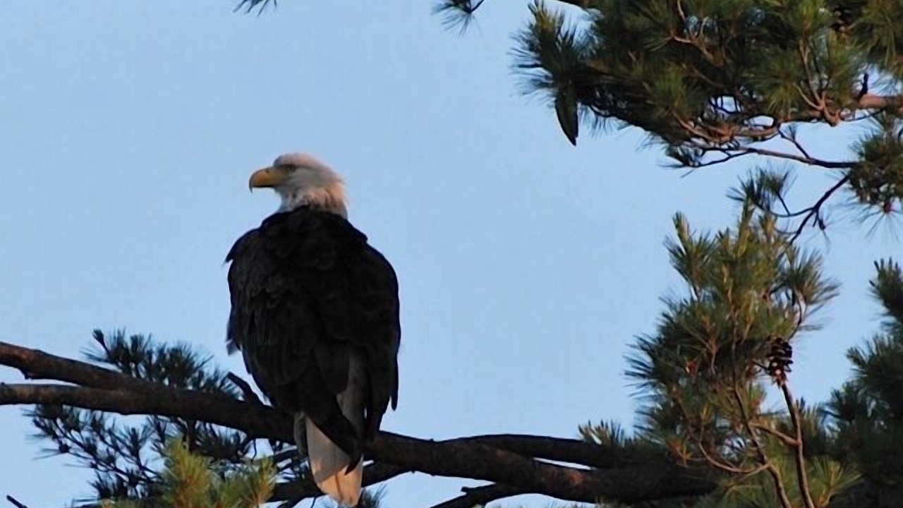 Photo of Others in Brainerd