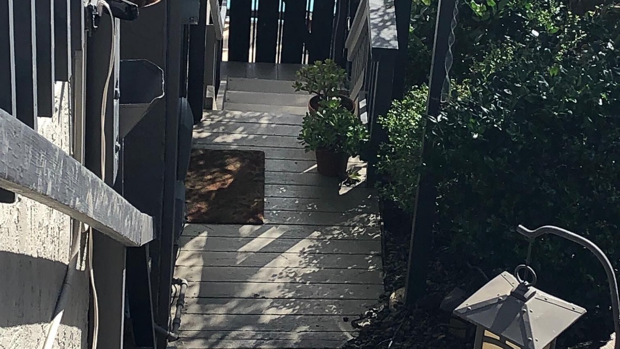 Photo of Others in San Rafael