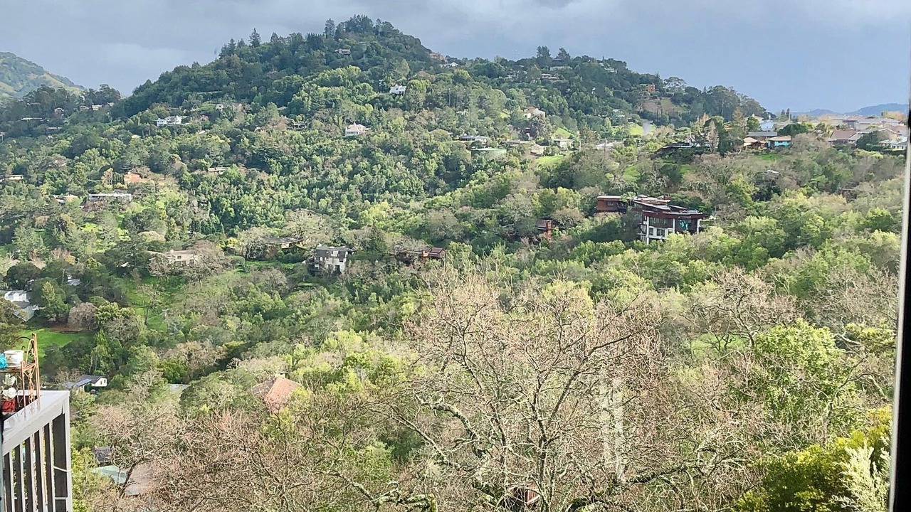 Photo of Others in San Rafael