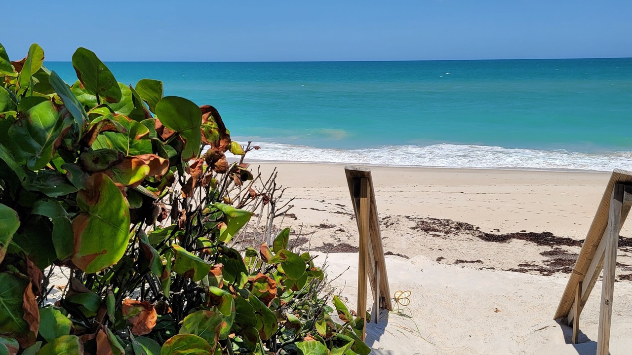 Photo of Others in Floridana Beach