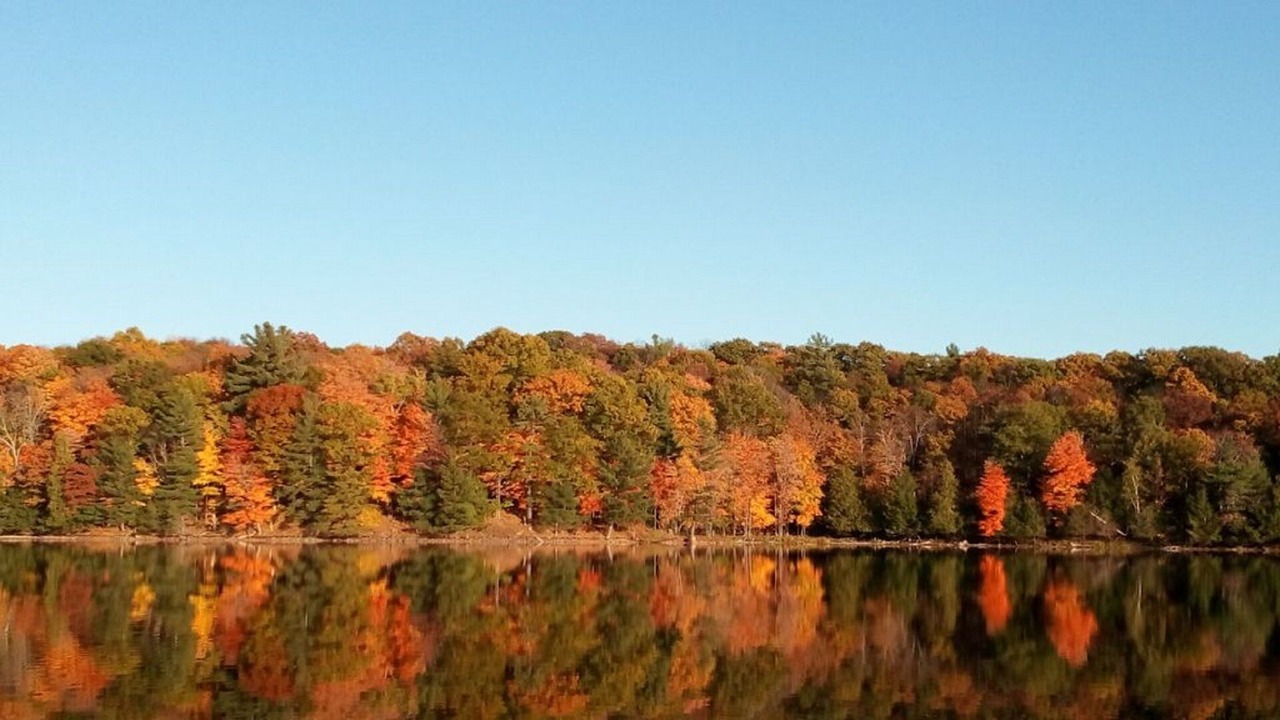 Photo of Others in Frontenac