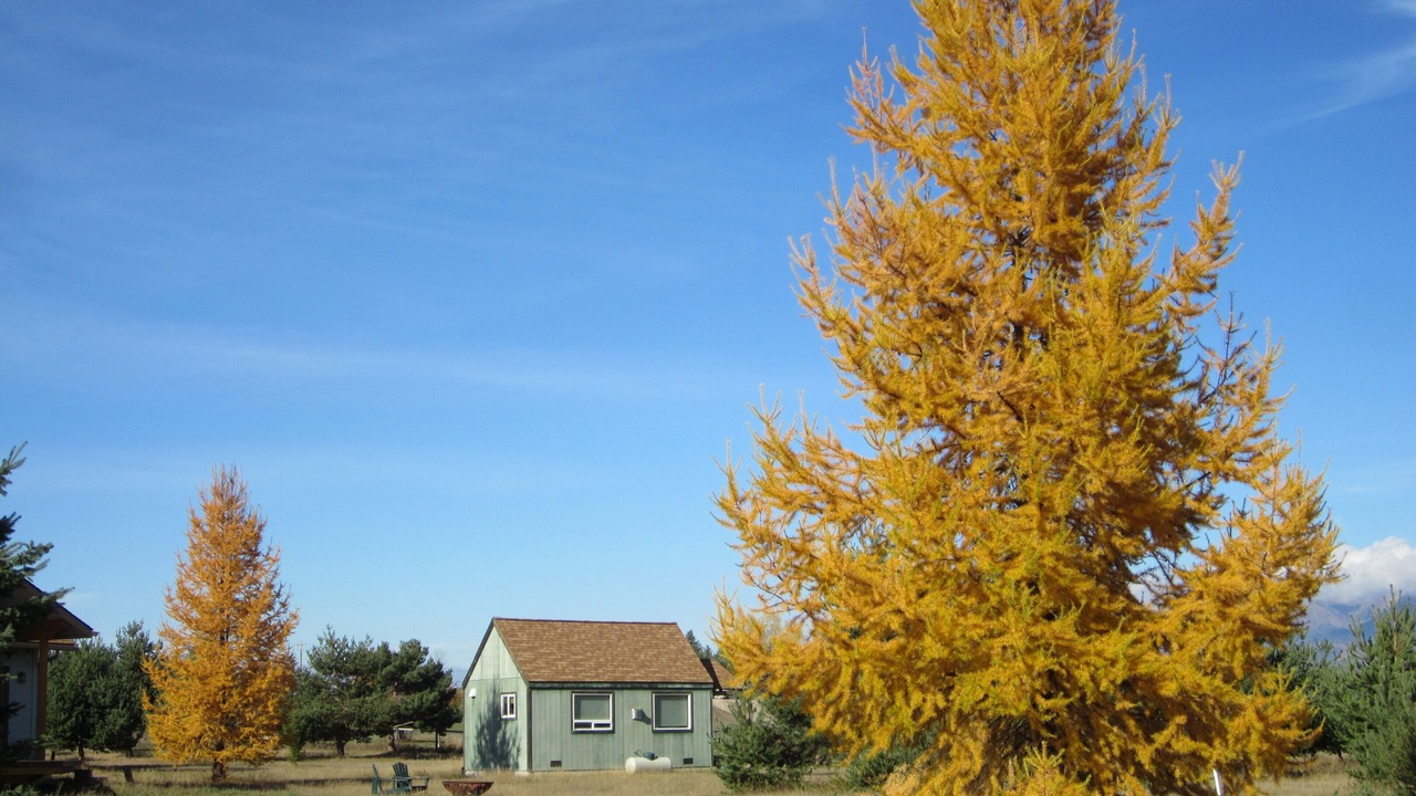 Photo of Others in Bigfork