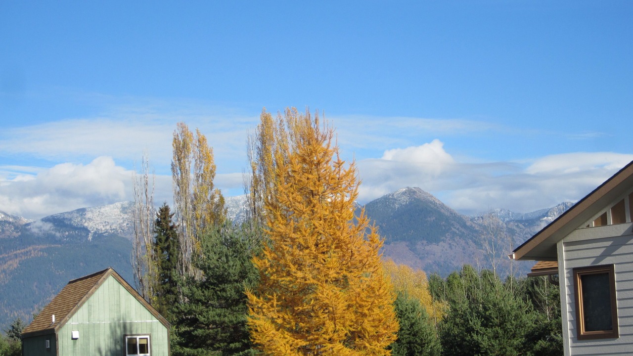 Photo of Others in Bigfork