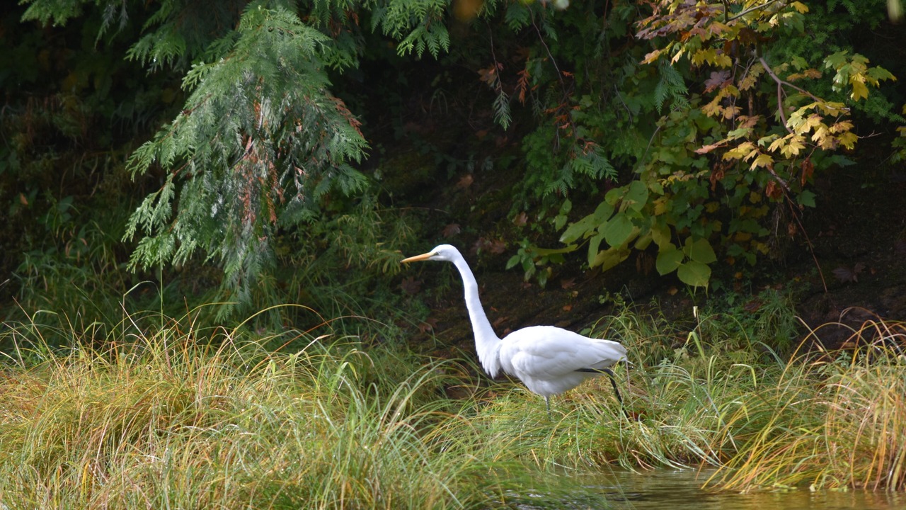 Photo of Outdoor in Douglas County