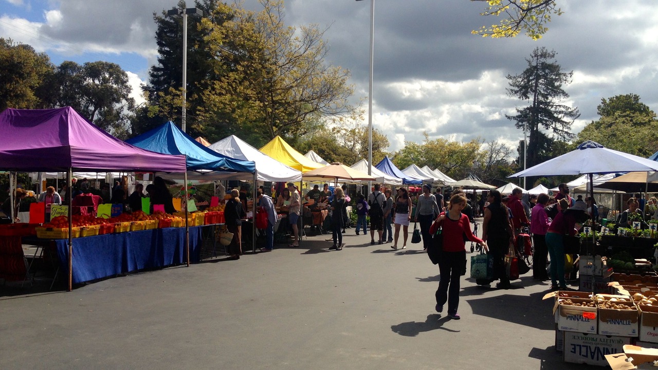 Photo of Others in Upper Telegraph