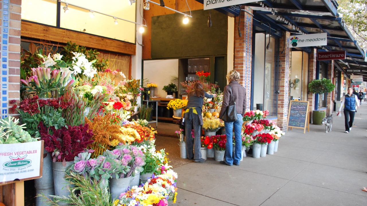 Photo of Others in Upper Telegraph