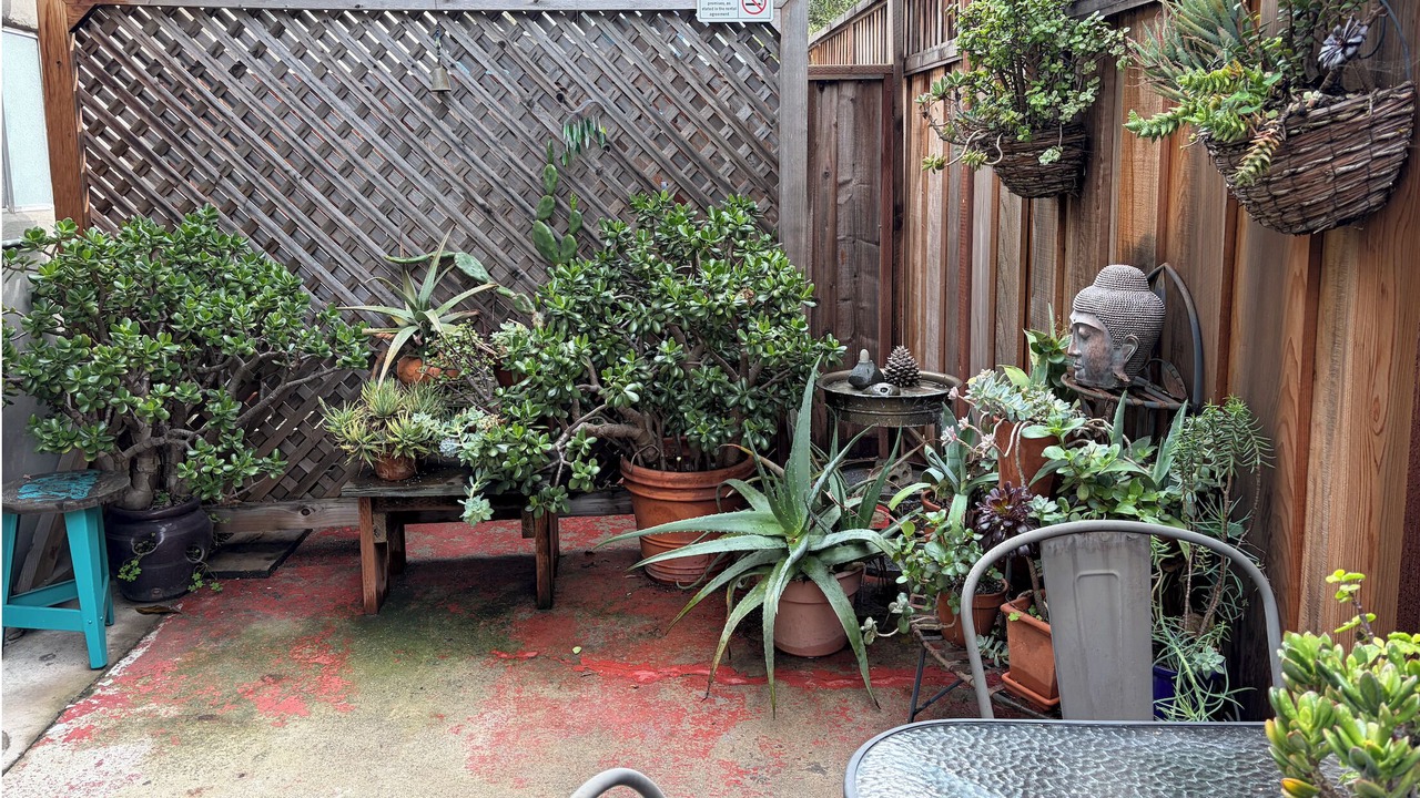 Photo of Outdoor in Upper Telegraph