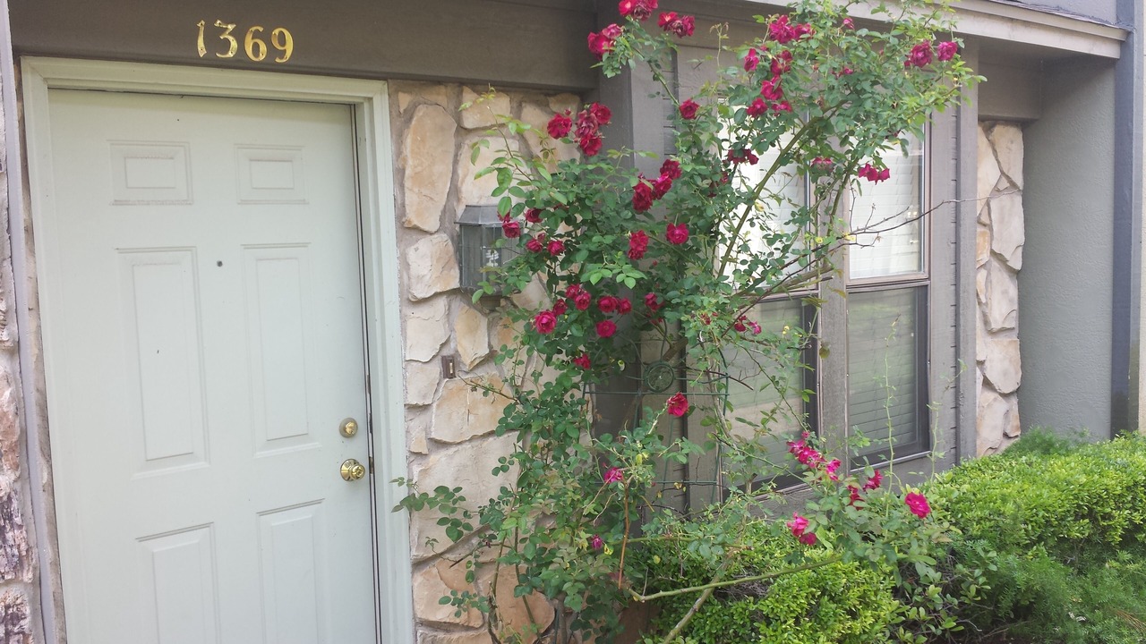 Photo of Outdoor in Waco