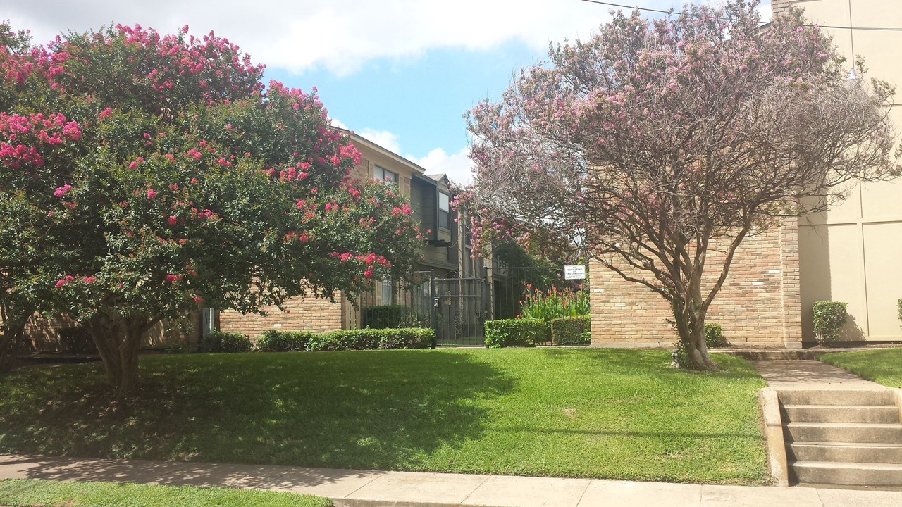 Photo of Outdoor in Waco
