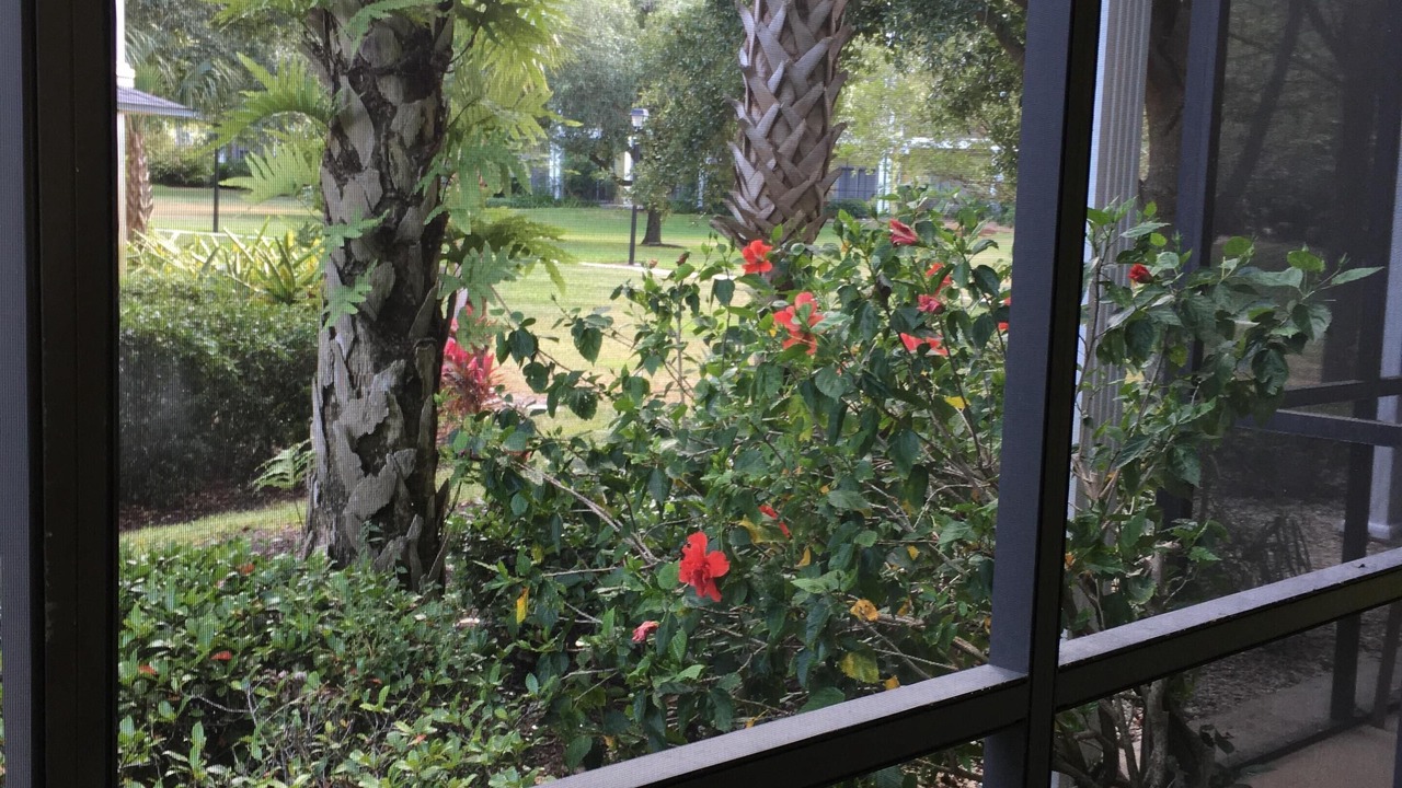Photo of Outdoor in Bahama Bay