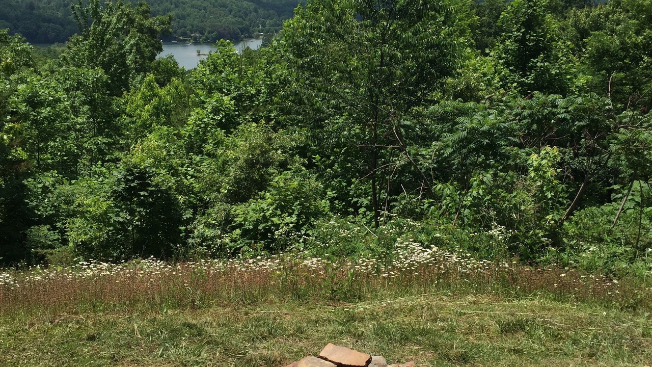 Photo of Outdoor in Hiawassee