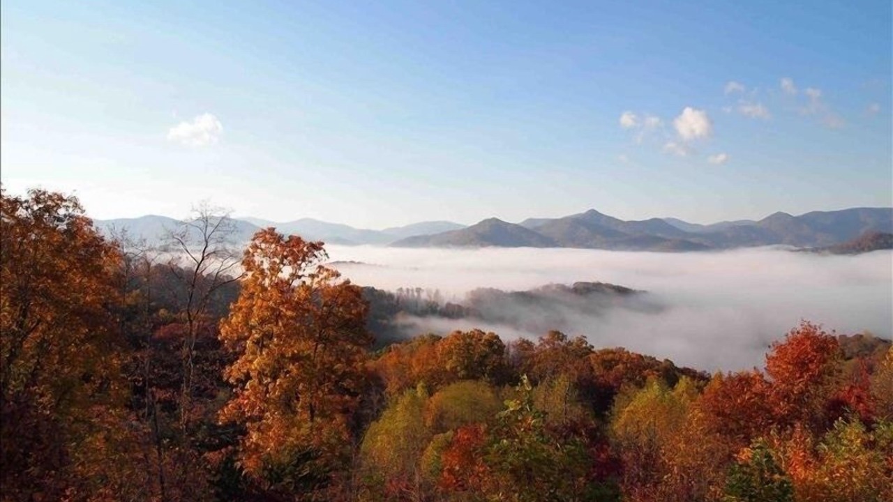 Photo of Others in Hiawassee