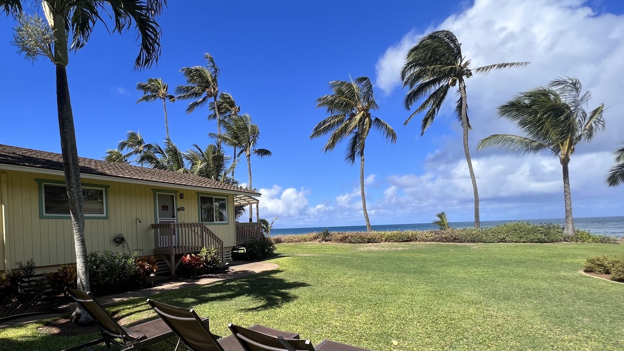 Photo of Others in Paia