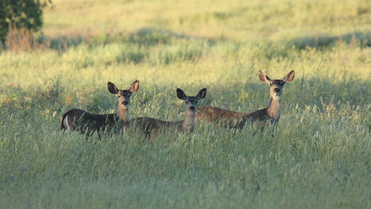 Photo of Others in San Luis Obispo