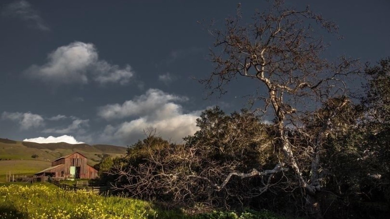 Photo of Outdoor in San Luis Obispo