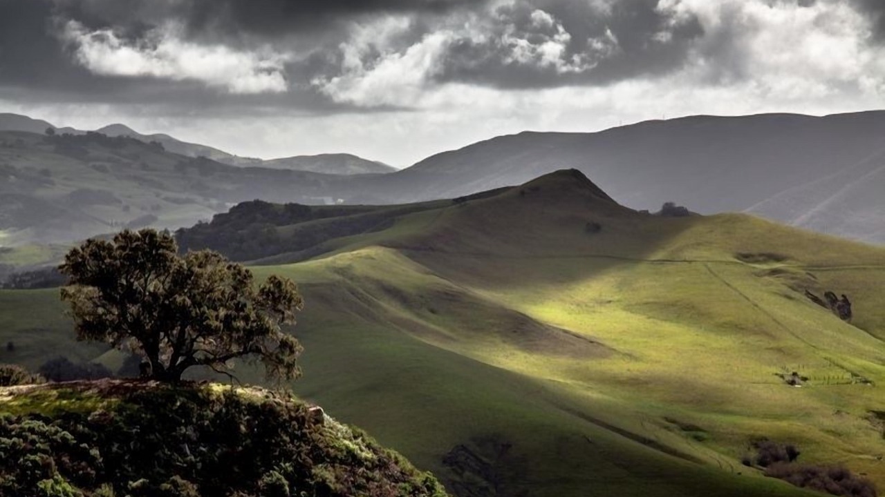 Photo of Others in San Luis Obispo