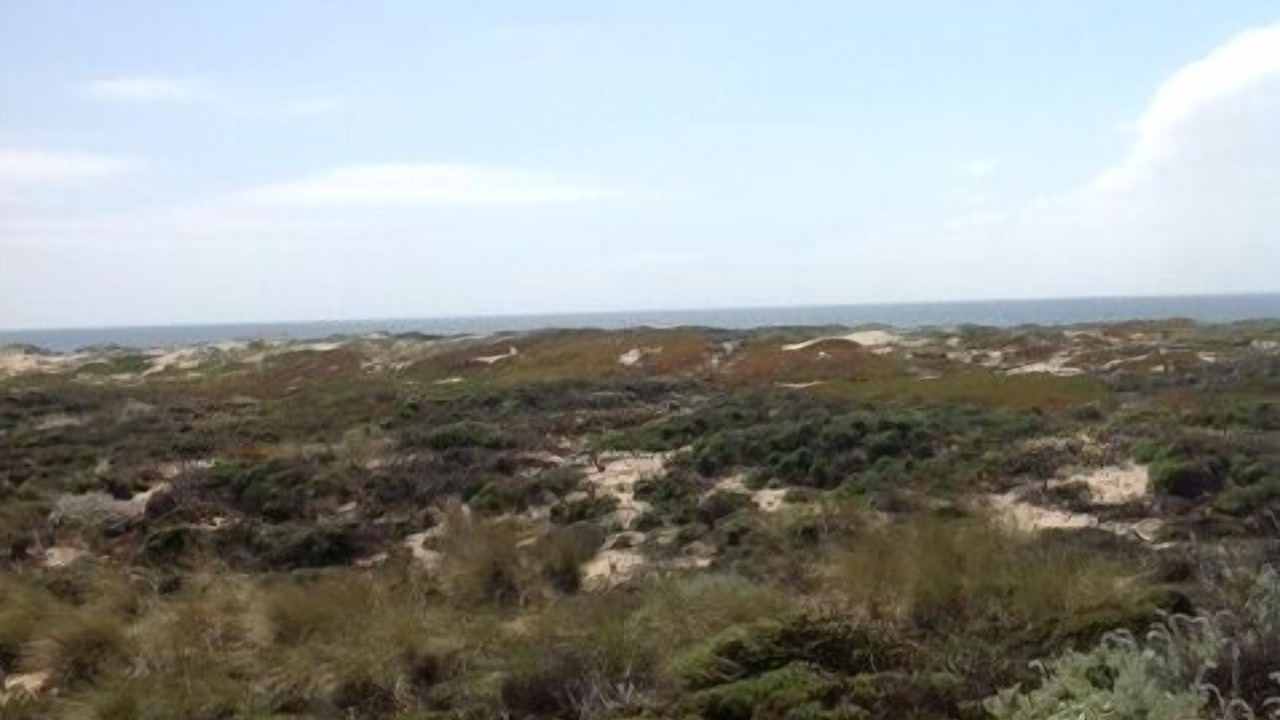 Photo of Others in Castroville