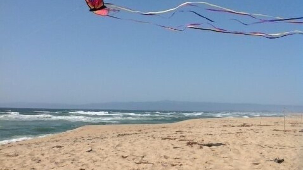 Photo of Others in Castroville