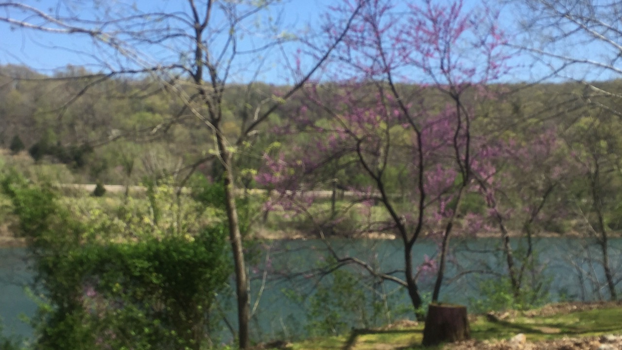 Photo of Outdoor in Flippin