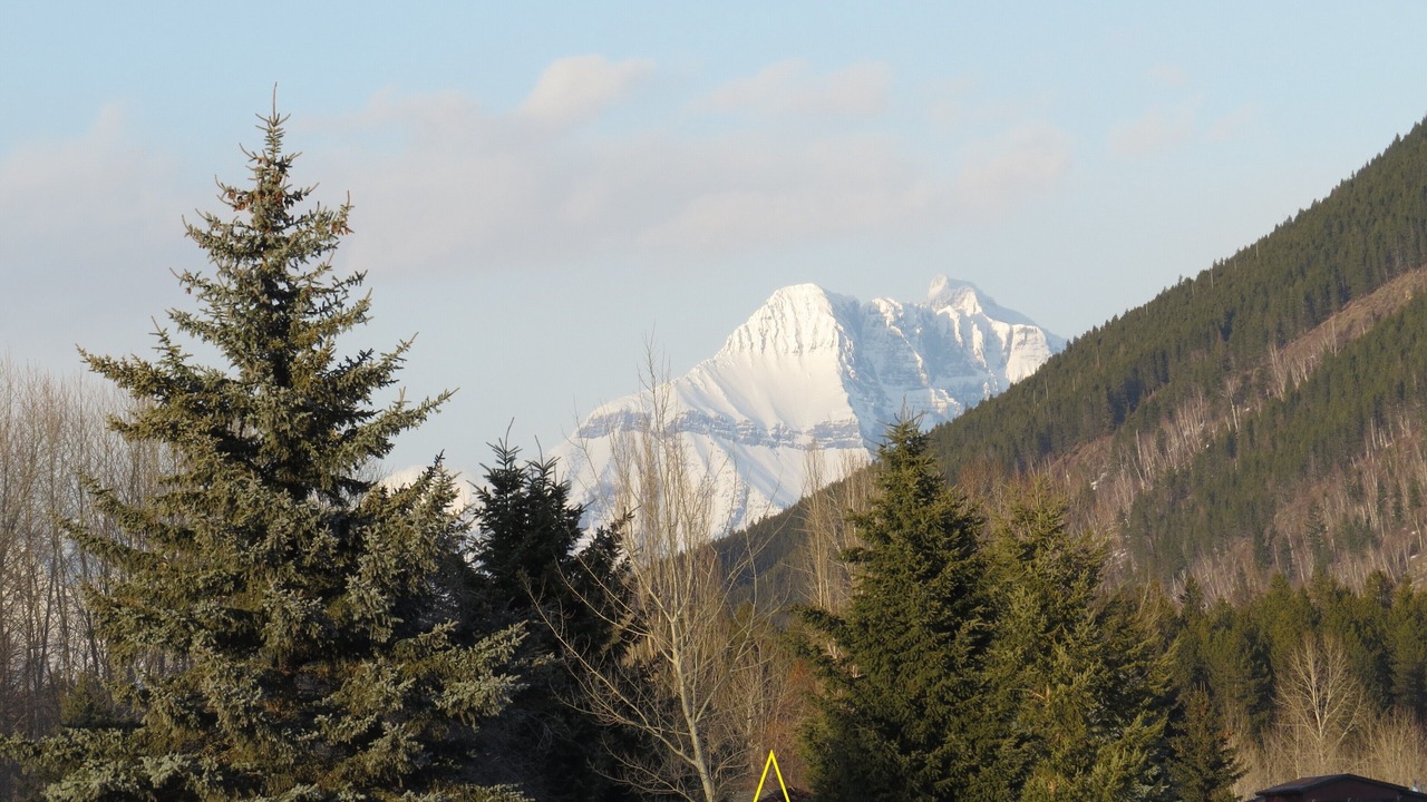 Photo of Others in West Glacier