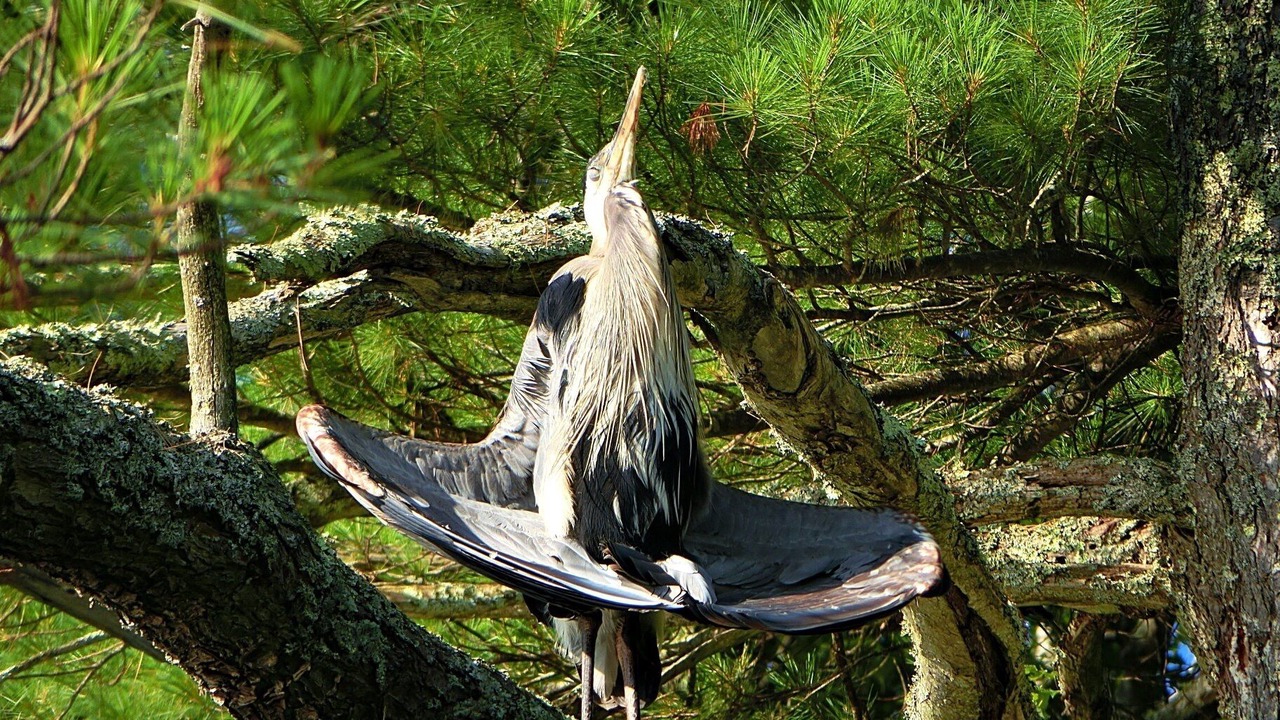 Photo of Outdoor in Belgrade