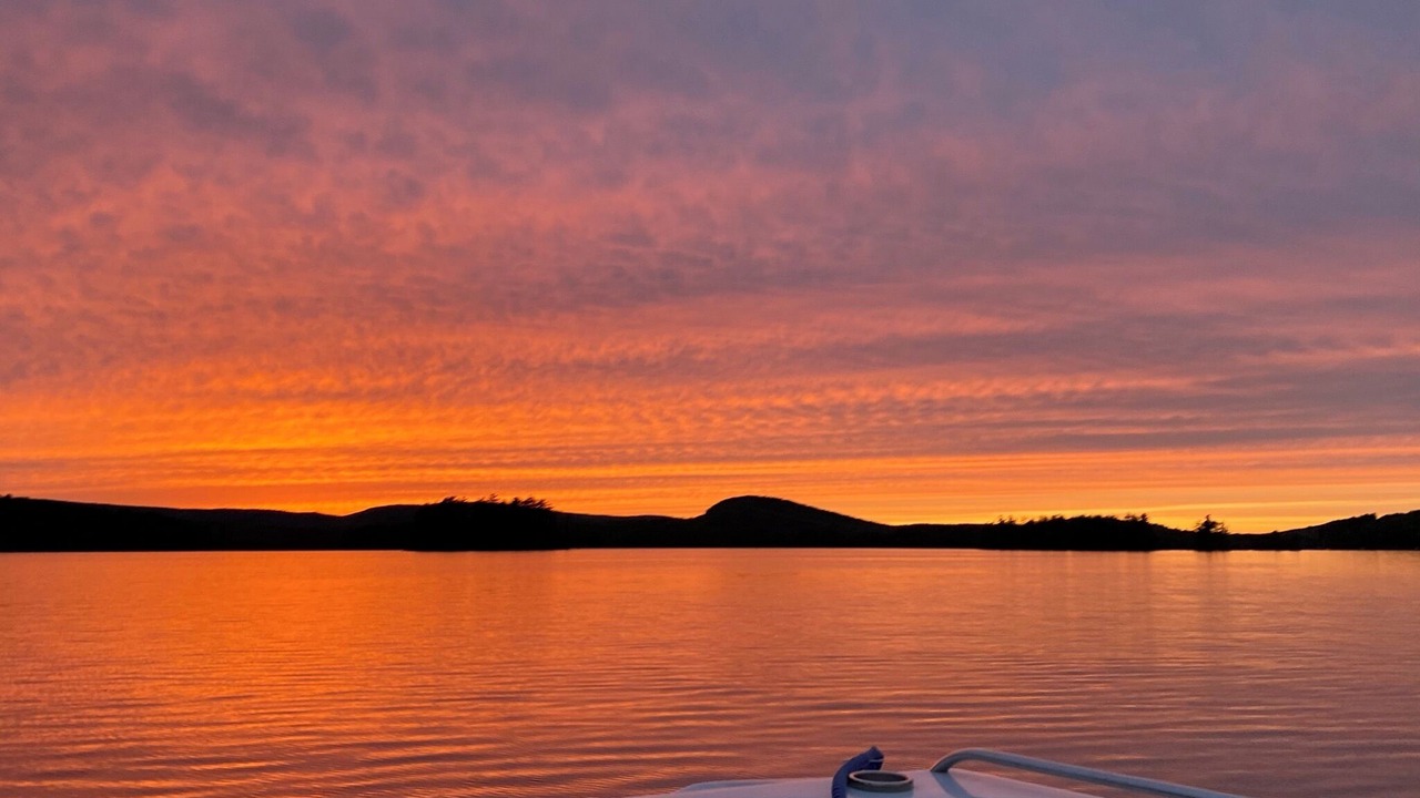 Photo of Others in Belgrade