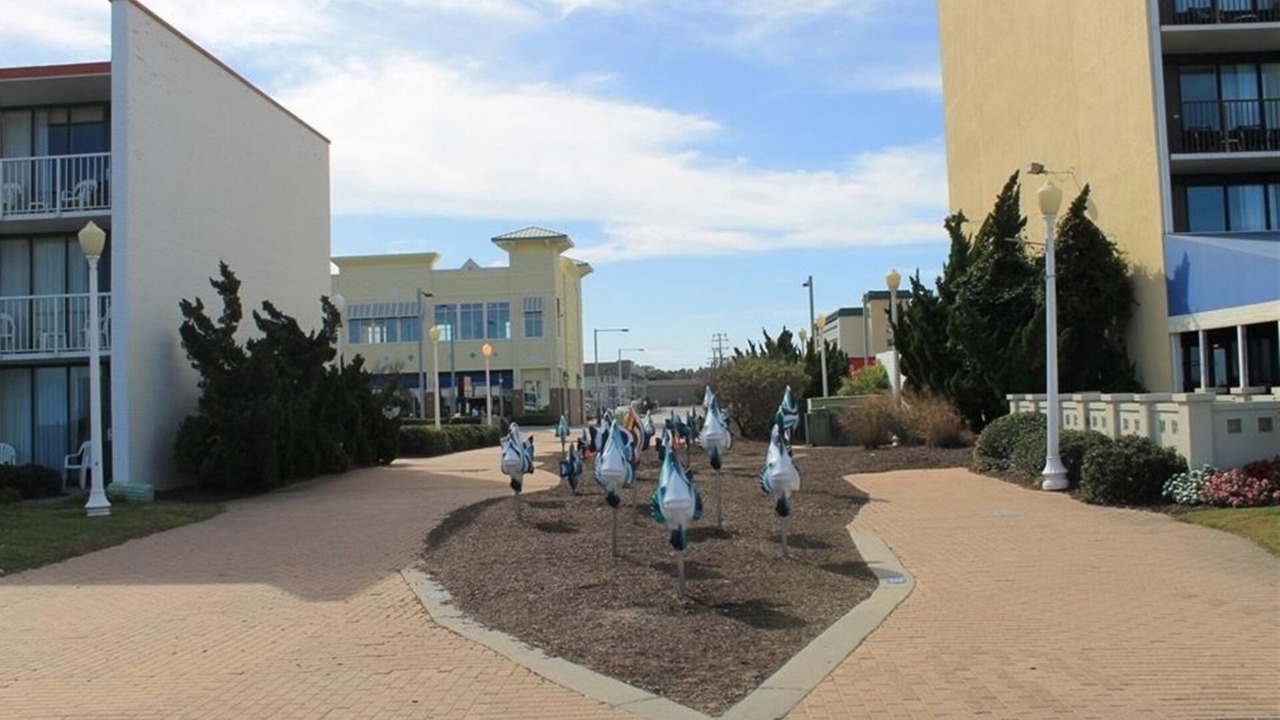 Photo of Others in Northeast Virginia Beach