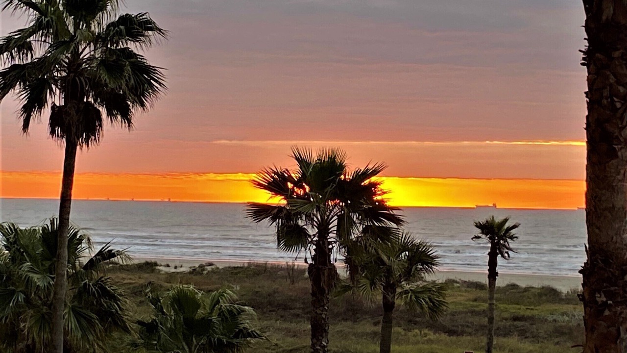 Photo of Others in Galveston