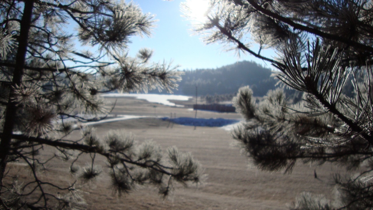 Photo of Outdoor in Custer