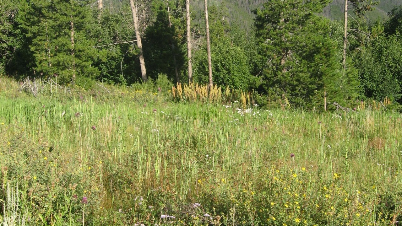 Photo of Others in Keystone
