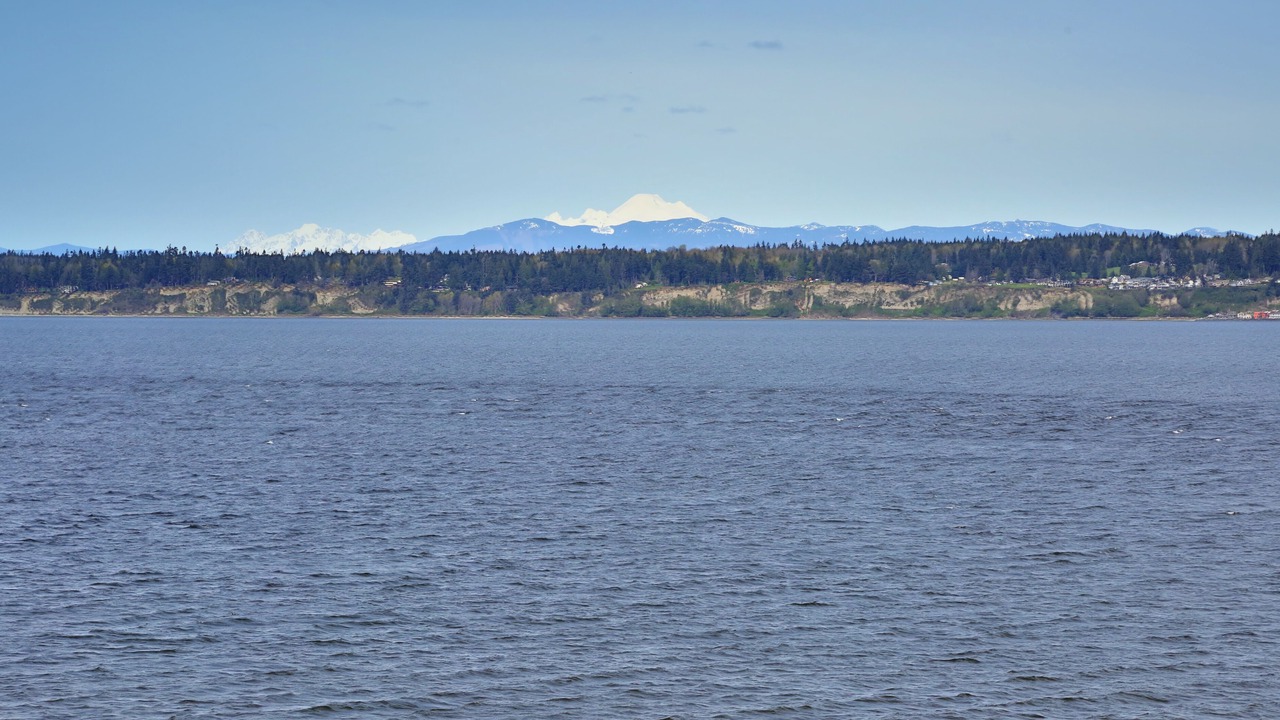 Photo of Others in Langley