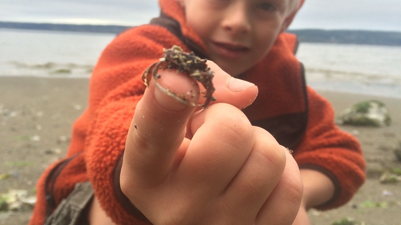 Photo of Others in Langley