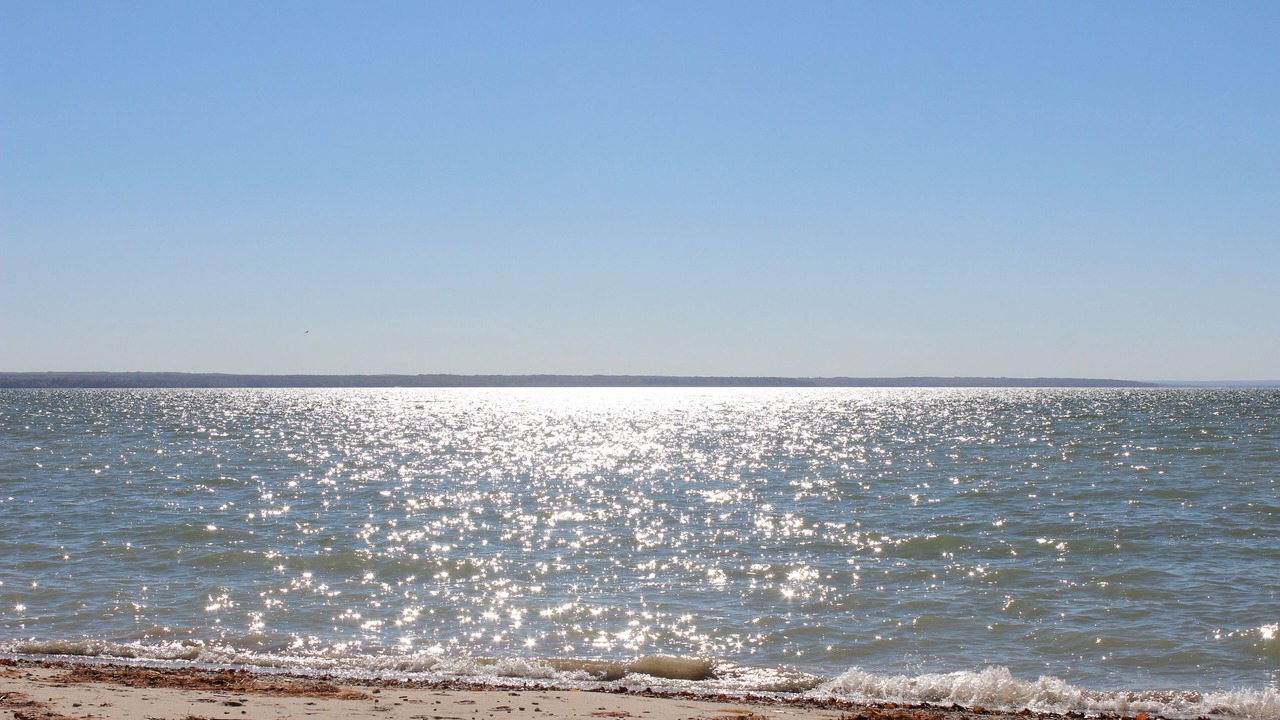 Photo of Others in Mullett Lake